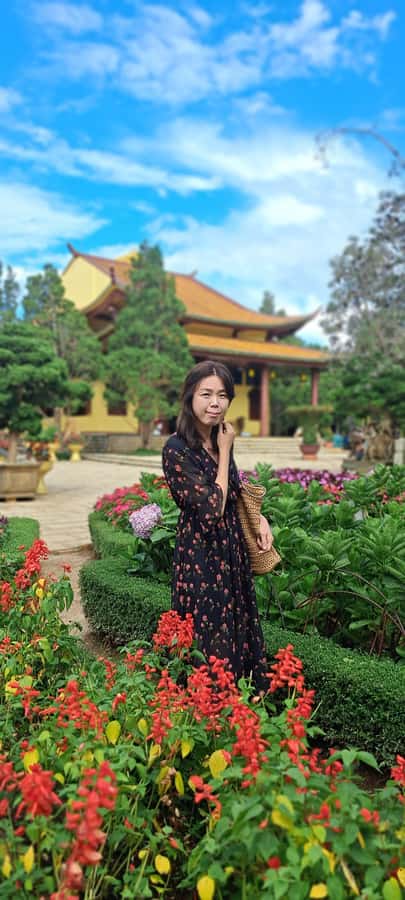 Dalat city tour by private car Combined train trip, Ziplines - Bao Dai’s Summer Palace and Dalat Cathedral