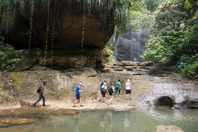 Day of Adventure - Zipline and Hike or Bike - A full half-day that can feel like a full adventure day