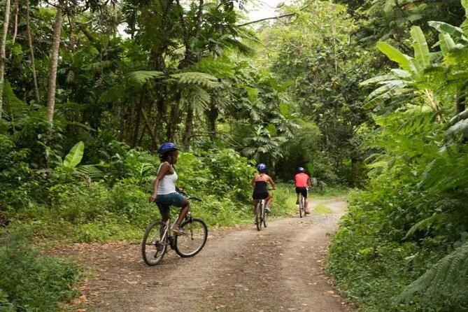 Day of Adventure - Zipline and Hike or Bike - The guides make the difference