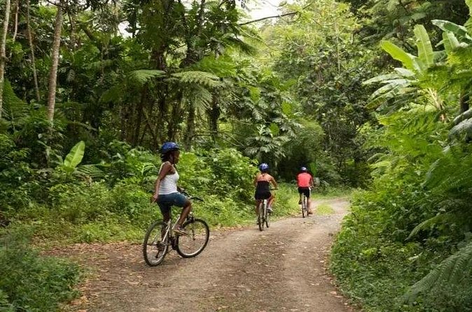 Day of Adventure - Zipline and Hike or Bike - Price and value at $126.93