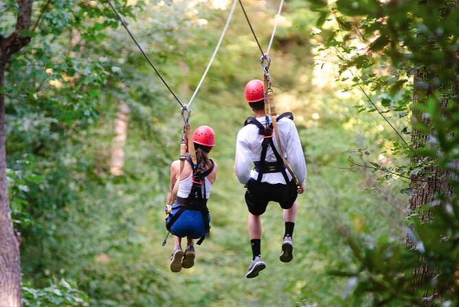 Day Trip to Kereita Forest and Ziplining - From Nairobi at 7:00 am to Kereita Forest