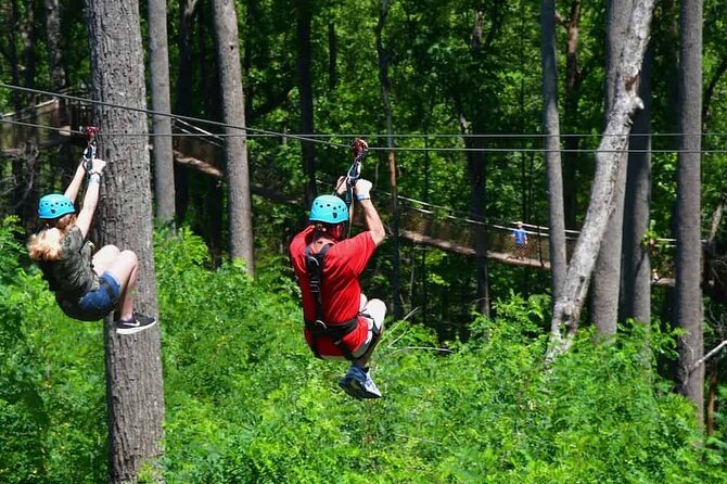 Day Trip to Kereita Forest and Ziplining - Two steep valleys and Elephant Pool