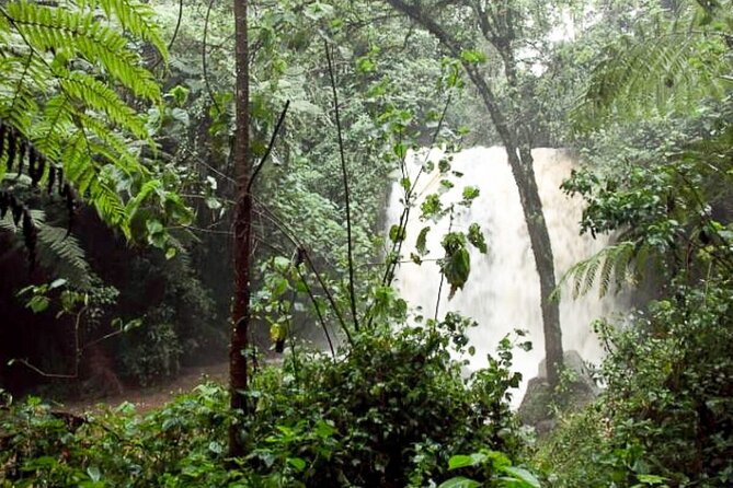 Day Trip to Kereita Forest and Ziplining - A place with a painful colonial past