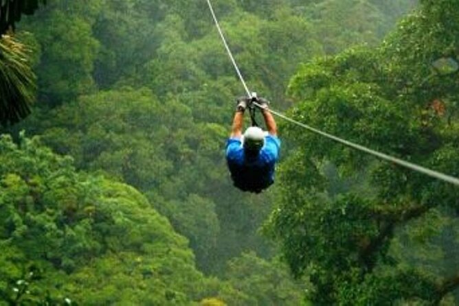 Day Trip to Kereita Forest and Ziplining - The Carbacid Gate and the bubbling spring