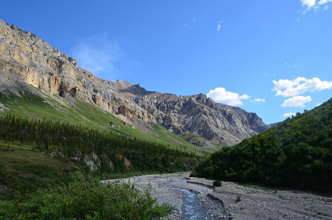 Denali Park Zipline Adventure - What makes this Denali adventure worth considering