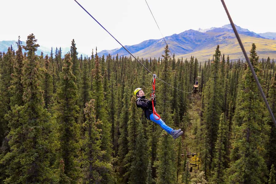 Denali Park Zipline Adventure - Who should book this Denali adventure?