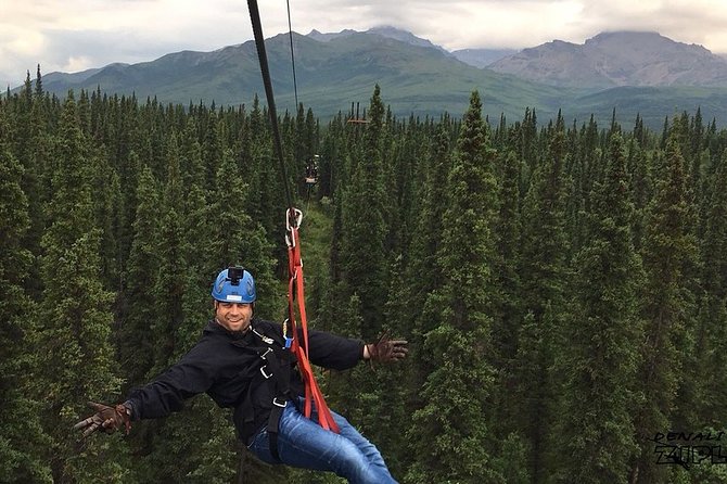 Denali Park Zipline Adventure - Views of the Alaska Range from the trees