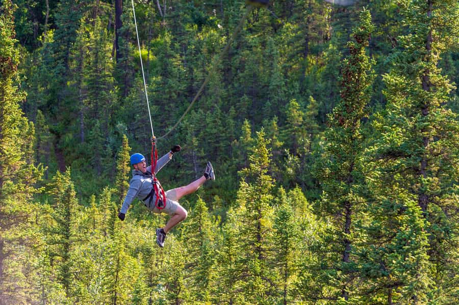 Denali Park Zipline Adventure - Guide quality and group size