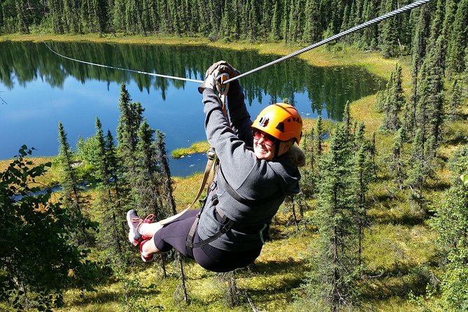 Denali Zipline Tour in Talkeetna, AK - Key points at a glance