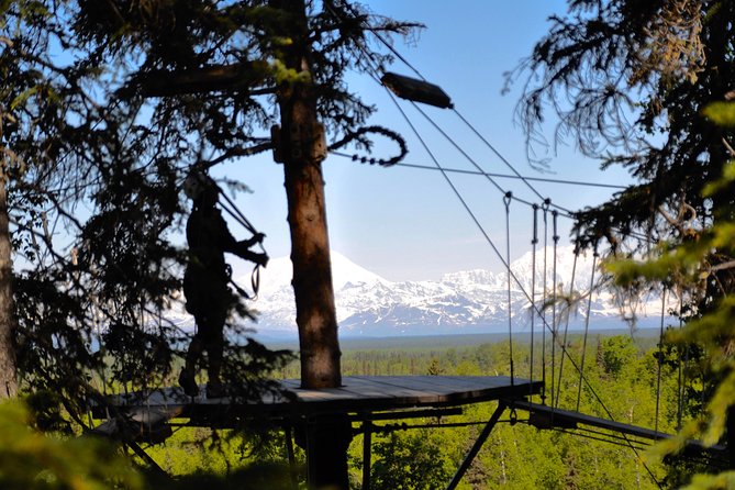 Denali Zipline Tour in Talkeetna, AK - Starting in Talkeetna with a short ground school