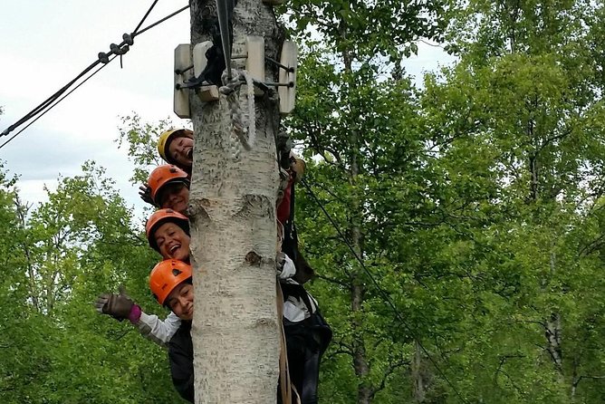 Denali Zipline Tour in Talkeetna, AK - Bridges, stairs, and the parts between the rides