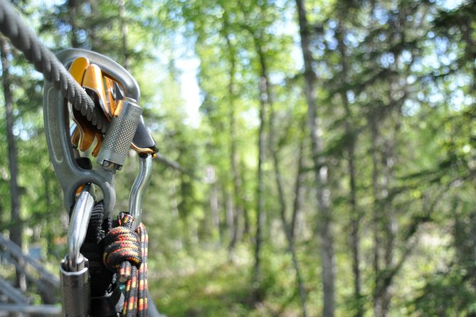 Denali Zipline Tour in Talkeetna, AK - Is $168.92 a fair price?
