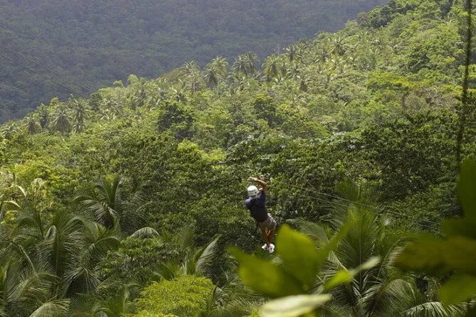 Drive and Fly - Buggy and Zipline - Key points to know before you book