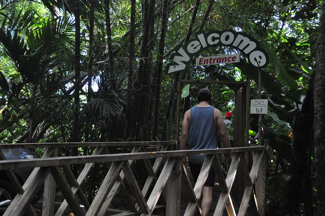 Drive and Fly - Buggy and Zipline - Is $225 per person a fair price?