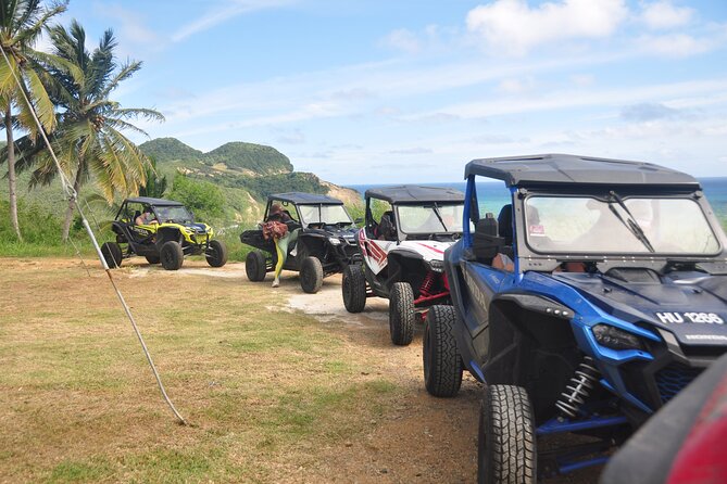 Drive and Fly - Buggy and Zipline - Treetop Adventure Park and its 12 ziplines