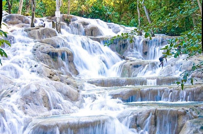 Dunn's River Falls and Park Tour with Zip Line from Montego Bay - A private tour from Montego Bay