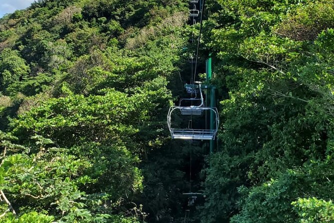 Dunn’s River Falls,Zip lining & horseback riding Combo tour from Montego Bay - The private guide and driver experience