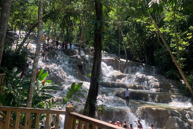 Dunn's River Falls, Zipline Adventure from Kingston - What the $249 Price Really Buys