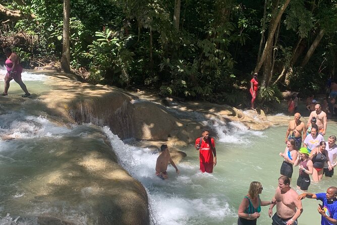 Dunn's River Falls, Zipline Adventure from Kingston - Should You Book Dunn’s River Falls and Zipline?