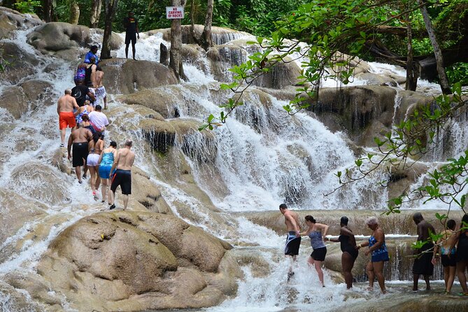 Dunns River Falls and Zipline Adventure from Ocho Ríos - Key points at a glance