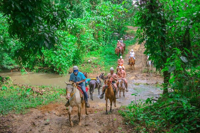 Eco Aventure Park+ Zipline+Horseback Ride+Buggy - Finishing at Macao Beach