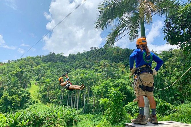 El Yunque Ziplining in Puerto Rico - The Canopy Bridge Slows the Pace