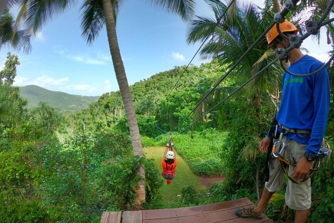 El Yunque Ziplining in Puerto Rico - Morning or Afternoon: Which Time Works Better?