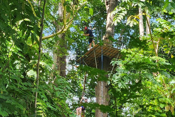 El Yunque Ziplining with River and Beach Visit - Who Will Enjoy This Day Most?