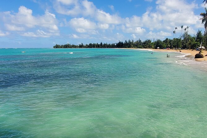 El Yunque Ziplining with River and Beach Visit - A Short Nature Walk to the Mameyes River