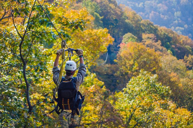 Epic Zipline Canopy Tour - The Gorge Zipline: Saluda, NC - Eleven ziplines with changing views