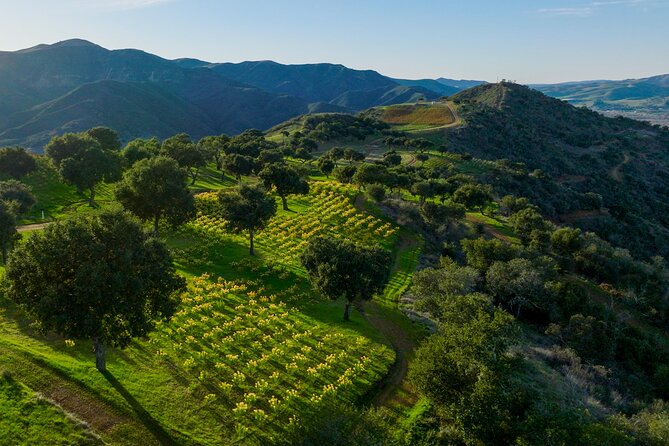 Epic Zipline Tour near Santa Barbara - Weather, timing, and cancellation details