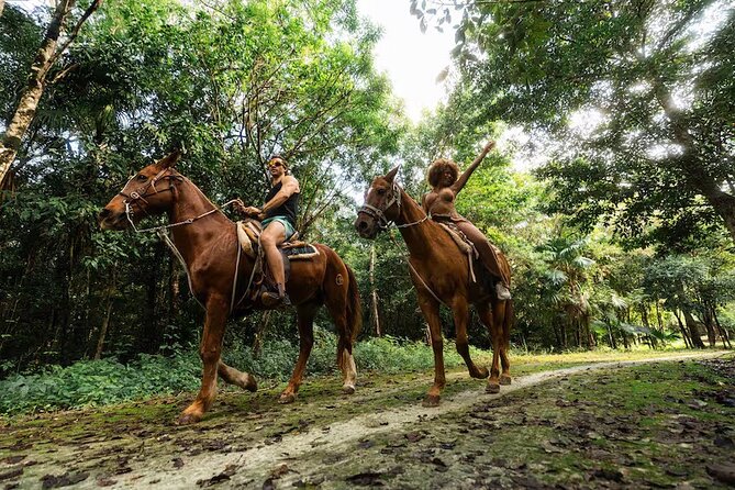 Experience ATV, Ziplines, Cenote and Horses Ride in Cancún - Key points before you book