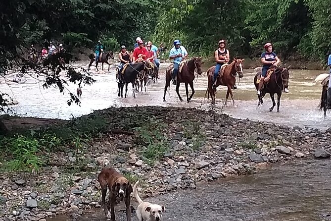 Experience Horse Riding, ATV & Zipline from Puerto Vallarta - Horseback Riding Through Rivers and Mountain Shade