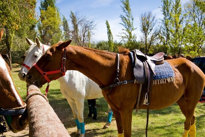 Extreme Horses Adventure with ATV, Ziplines & Cenote - Zip lines and hanging bridges