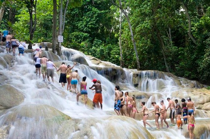 Falls Flyer Zipline and Dunn's River Falls Adventure Tour from Falmouth - Entering Dunn’s River Falls Park