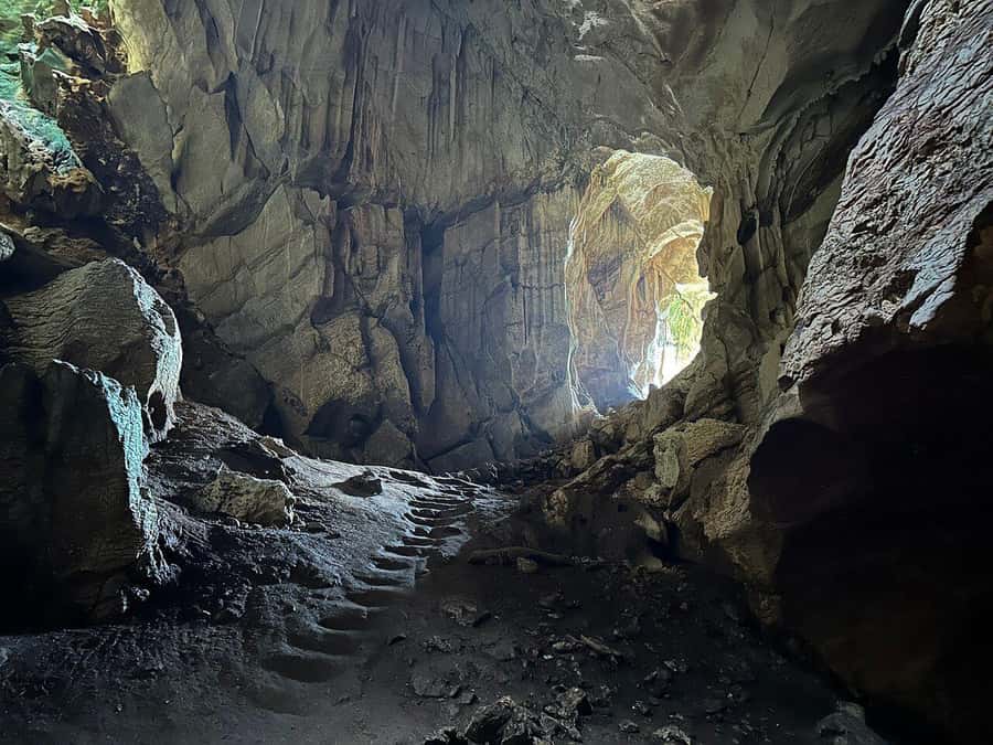 Fiji: Zipline Adventure and Cave Exploration - Quick facts about the Fiji zipline and cave tour