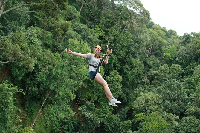 Flight of the Phoenix: Zipline Experience - Key points to know before booking