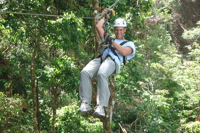 Flight of the Phoenix: Zipline Experience - Forest views from Chiang Mai’s treetops