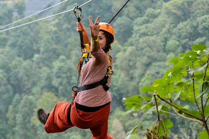Flight of the Phoenix: Zipline Experience - Who will enjoy Flight of the Phoenix most?