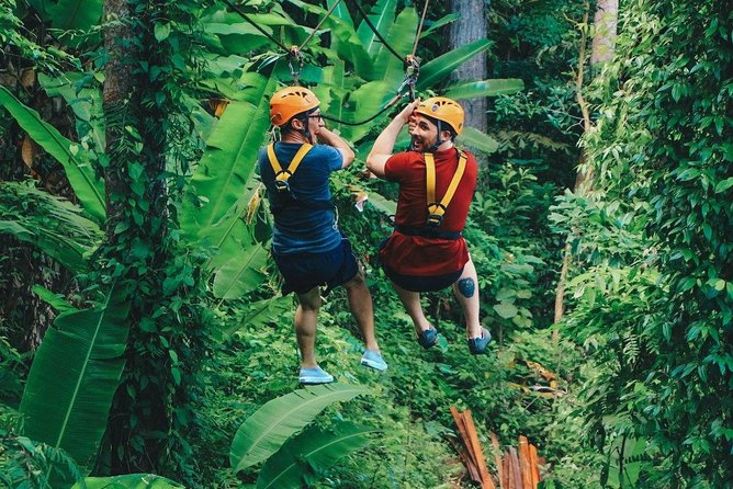 Flying Hanuman Ziplines 42 platform With Lunch - Safety, physical demands, and who should book