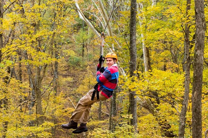 Fontanel Zipline Forest Adventure at Nashville North - Weather, timing, and what can go wrong