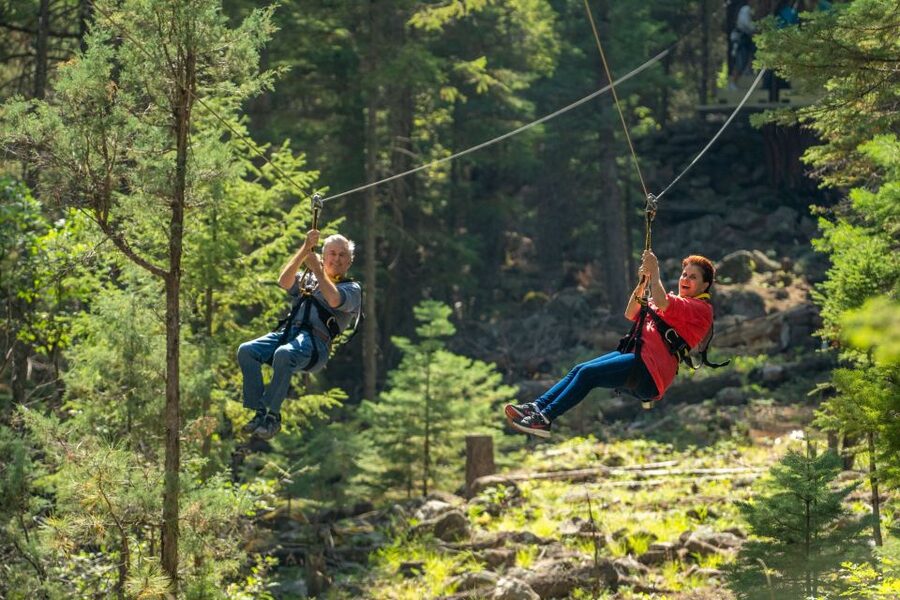 From Durango: All-Day Zipline Adventure with Train & Lunch - Twenty-seven ziplines through ponderosa pines