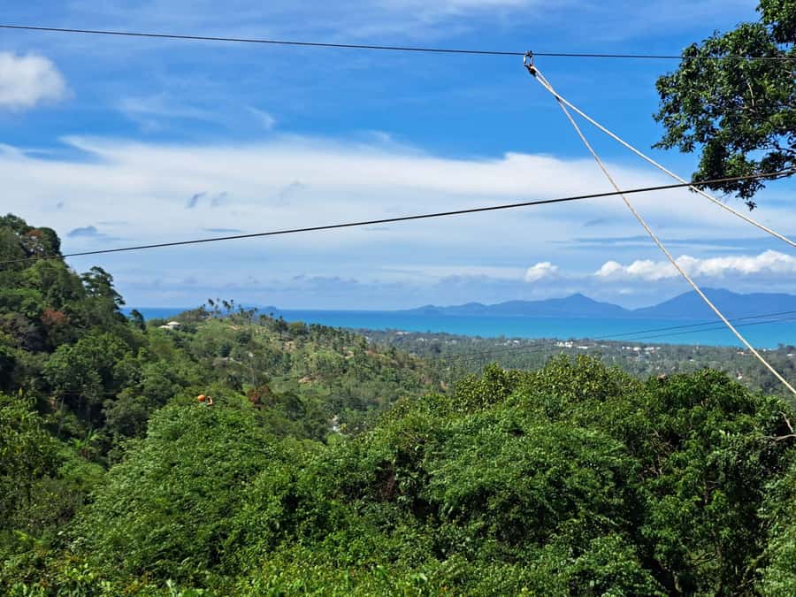From Koh Samui: Tree Bridge Zipline and Café Experience - The bridges, abseiling, and walking sections