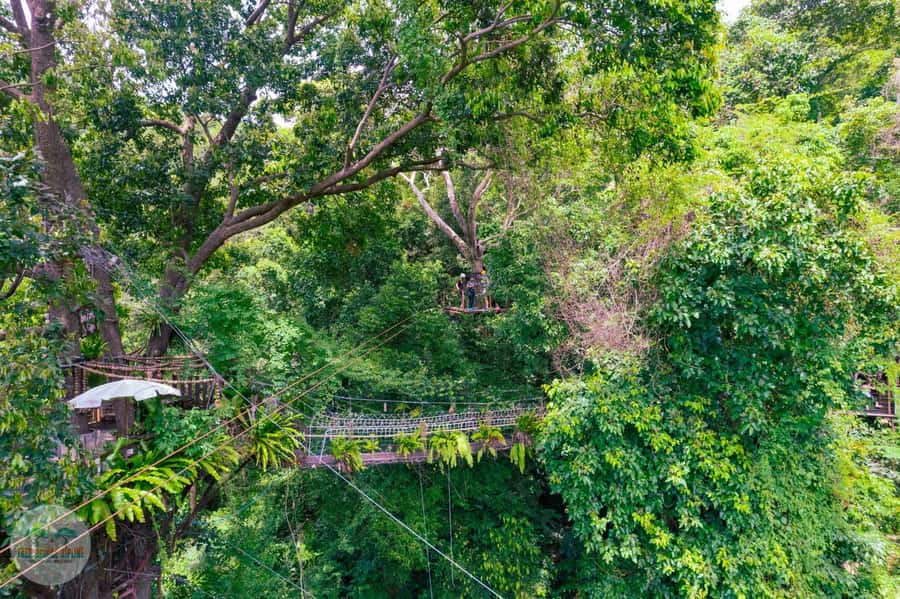 From Koh Samui: Tree Bridge Zipline and Café Experience - Is the $60 price good value?
