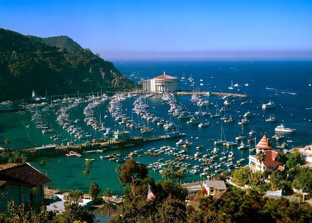From LA: Catalina Island with Zipline Tour and Hotel Pickup - Key points before you book