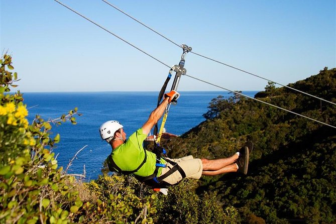 From LA: Catalina Island with Zipline Tour and Hotel Pickup - Five lines across Descanso Canyon