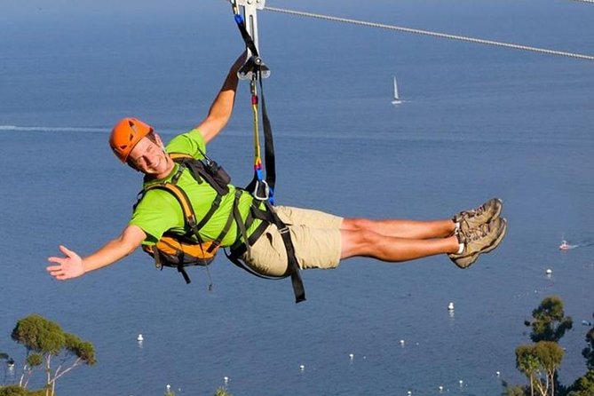 From LA: Catalina Island with Zipline Tour and Hotel Pickup - A comfortable hour on the Catalina Express