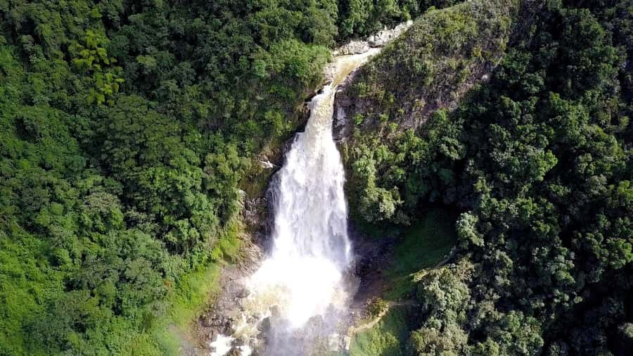 From Medellín: Dream Hammocks, Zipline, & Waterfall Day Trip - Who should book this adventure