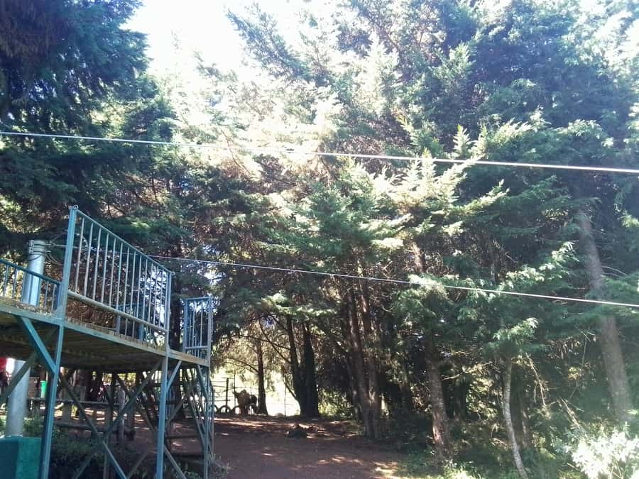 From Nairobi: Zipline Adventure Safari - Arriving at the Aberdare forest setting
