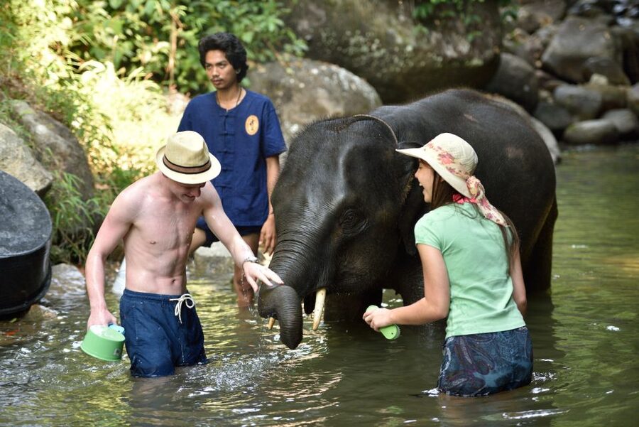 From Phuket: Elephant Care Experience with Rafting & Zipline - Five kilometers of white-water rafting